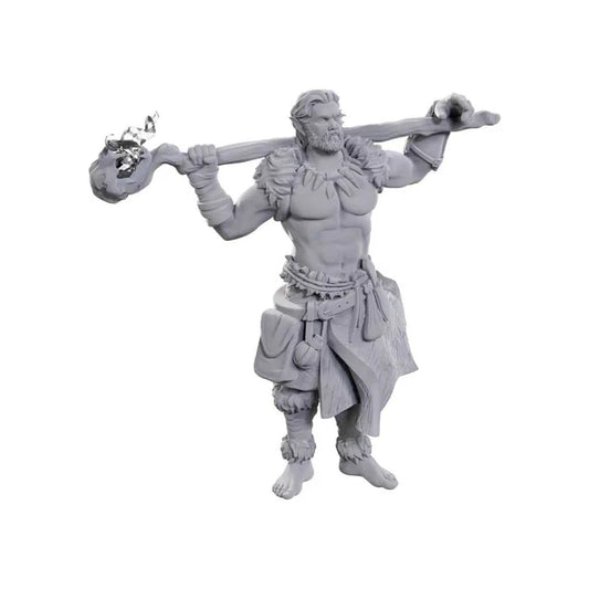 D&D Nolzur's Marvelous Miniatures: Archdruid & Martial Arts Adept 2 - Tabletop Gaming