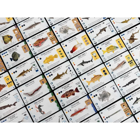 Finspan: Sharks & Reefs-Tabletop Gaming