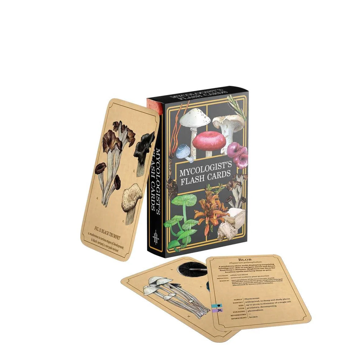 Mycologist's Primer Flash Cards-Tabletop Gaming