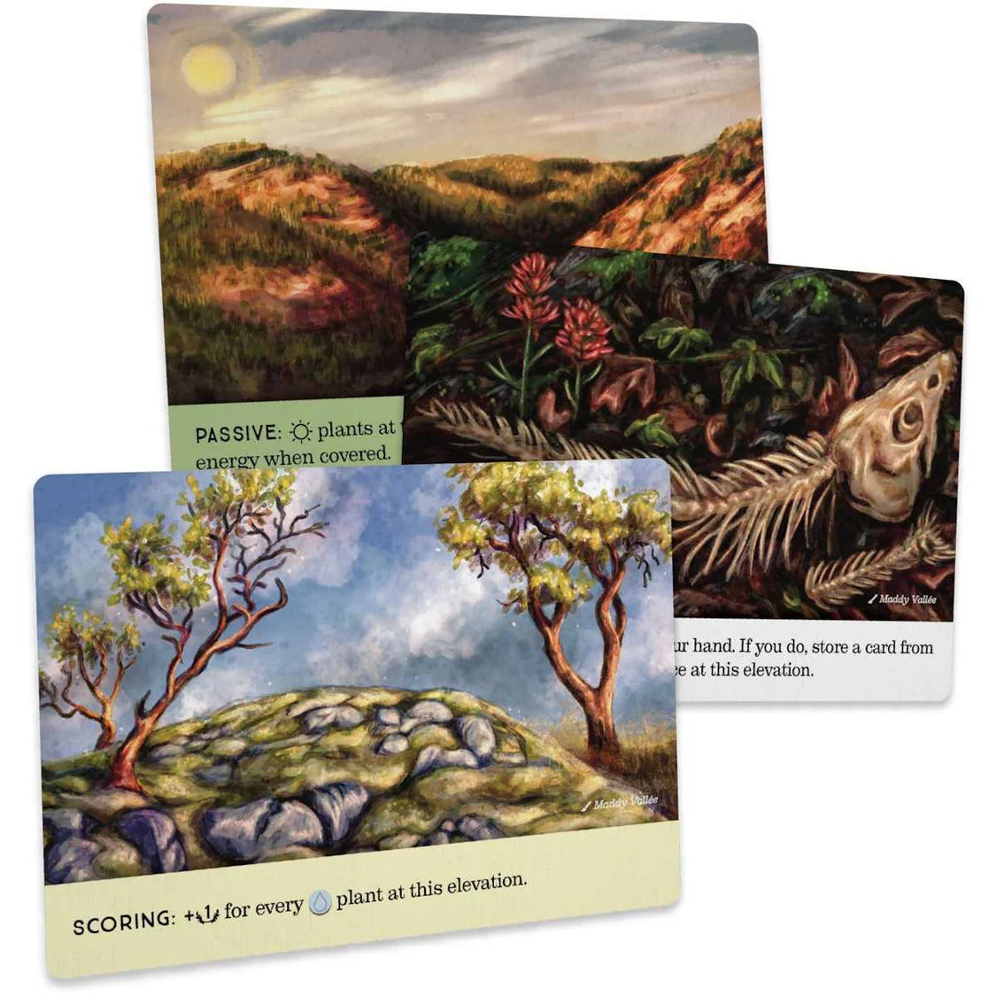 Reforest: Old Growth-Tabletop Gaming