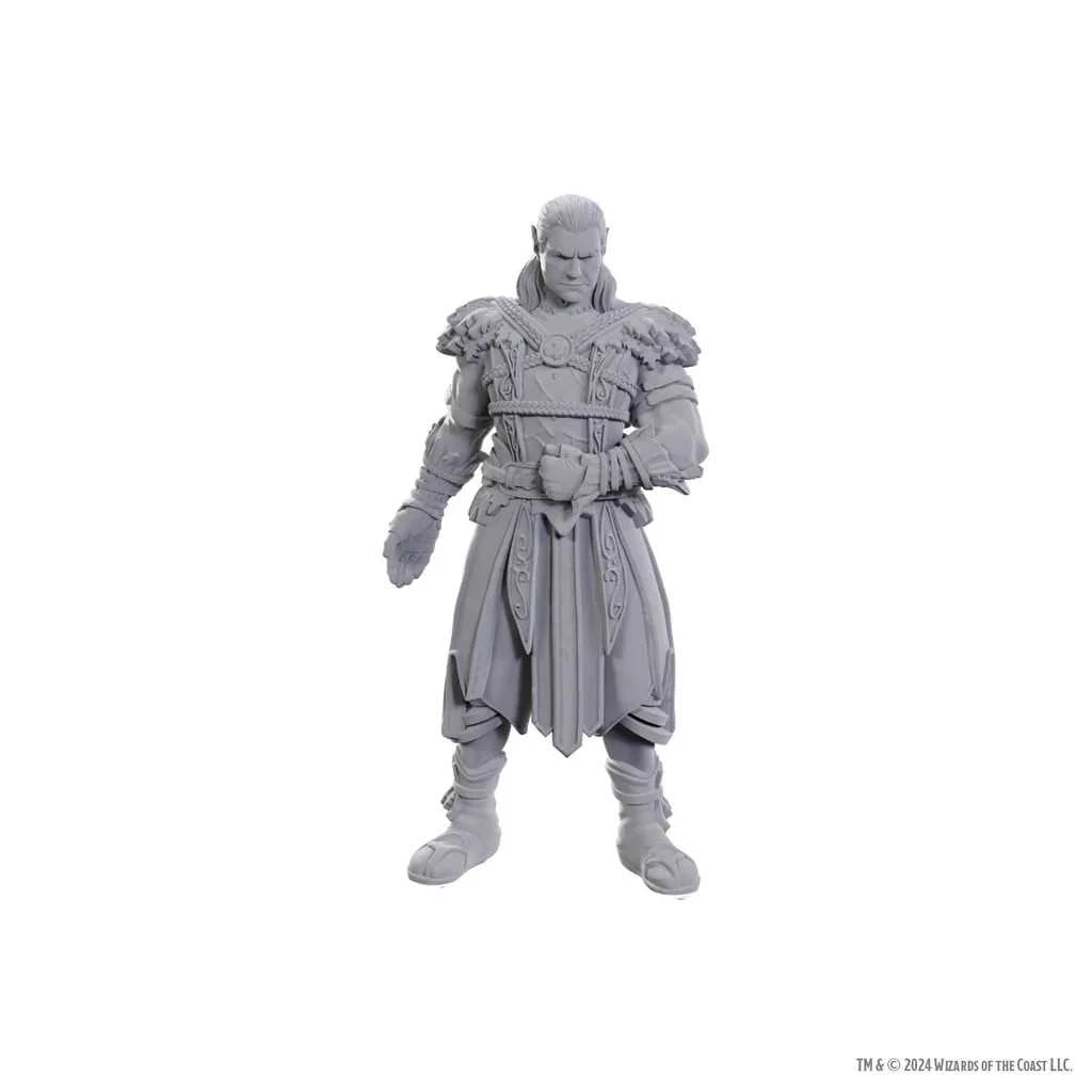 Special Edition Baldur's Gate 3 - Jaheira & Halsin: D&D Nolzur's Marvelous Unpainted Miniatures 2 - Tabletop Gaming