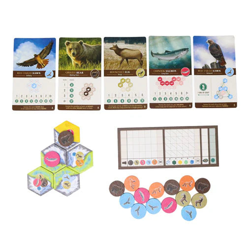 Cascadia Board Game Contents - Tabletop Gaming
