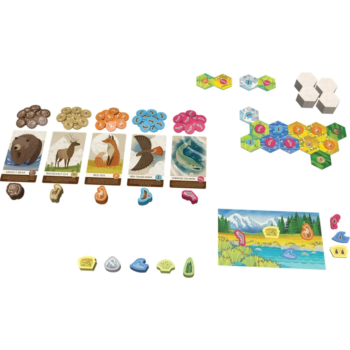 Cascadia Junior-Tabletop Gaming