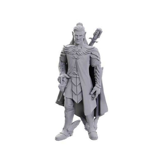 Critical Role Unpainted Miniatures: Dorian Storm 2 - Tabletop Gaming