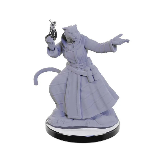 Critical Role Unpainted Miniatures: Lucien Tavelle & Cree Deeproots 3 - Tabletop Gaming