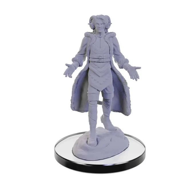 Critical Role Unpainted Miniatures: Lucien Tavelle & Cree Deeproots 4 - Tabletop Gaming