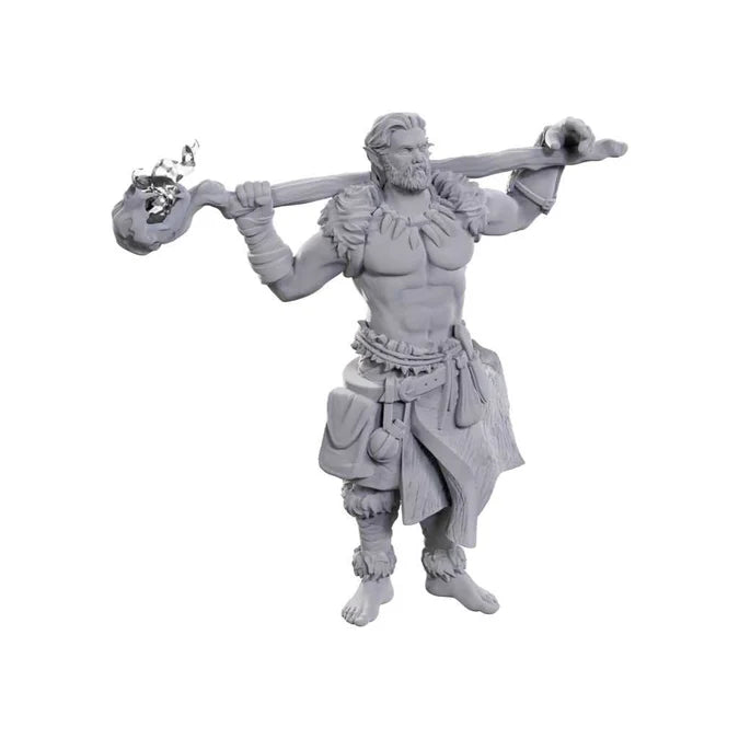 D&D Nolzur's Marvelous Miniatures: Archdruid & Martial Arts Adept 2 - Tabletop Gaming