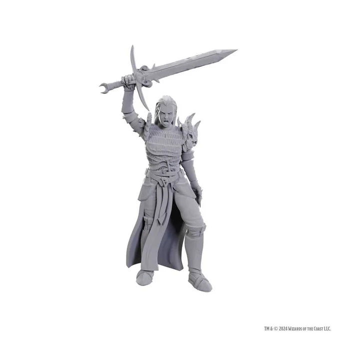 D&D Nolzur's Marvelous Unpainted Miniatures: Blackguard - Tabletop Gaming