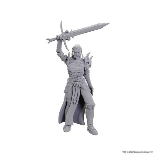 D&D Nolzur's Marvelous Unpainted Miniatures: Blackguard - Tabletop Gaming