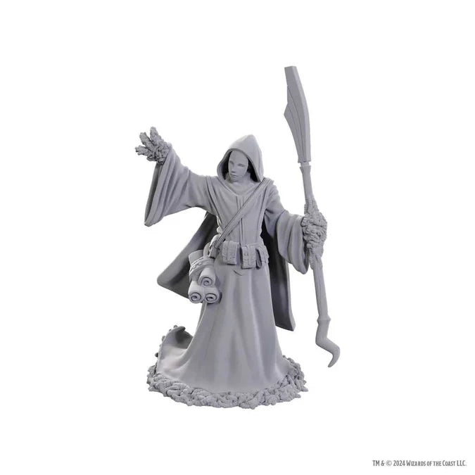 D&D Nolzur's Marvelous Unpainted Miniatures: Star Spawn Larva Mage - Tabletop Gaming