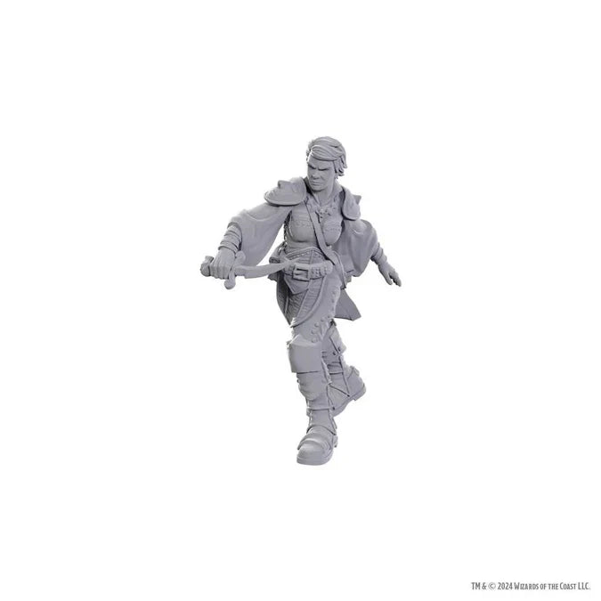 D&D Nolzur's Marvelous Unpainted Miniatures: Swashbuckler - Tabletop Gaming