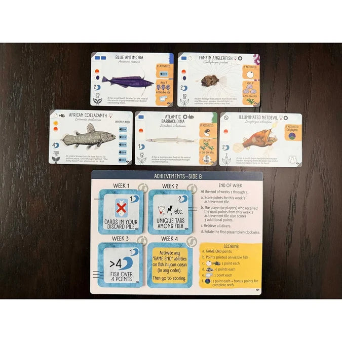 Finspan: Sharks & Reefs-Tabletop Gaming
