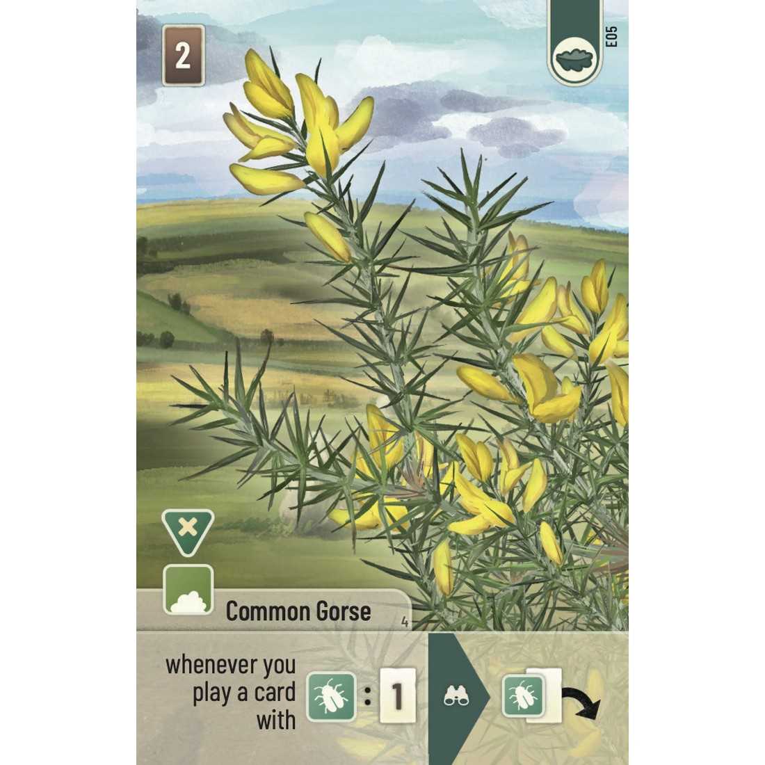 Forest Shuffle - Dartmoor: Exmoor Expansion-Tabletop Gaming