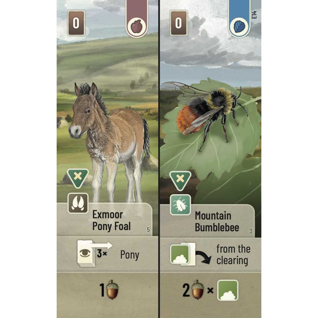 Forest Shuffle - Dartmoor: Exmoor Expansion-Tabletop Gaming