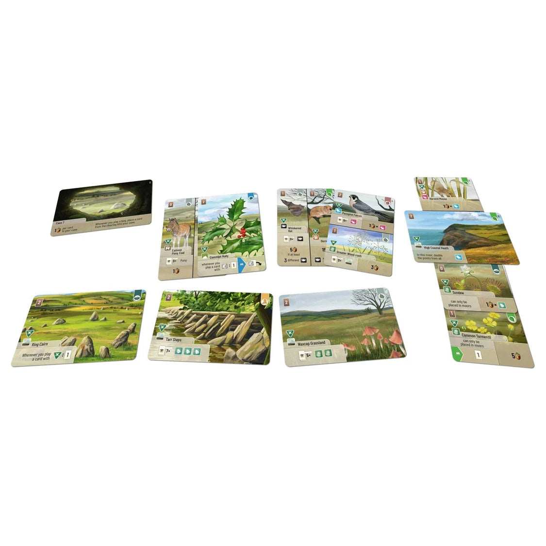 Forest Shuffle - Dartmoor: Exmoor Expansion-Tabletop Gaming