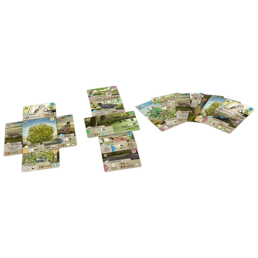 Forest Shuffle - Dartmoor-Tabletop Gaming