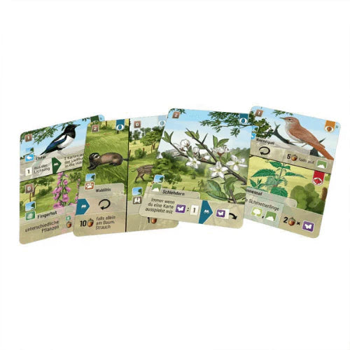 Forest Shuffle: Woodland Edge-Tabletop Gaming