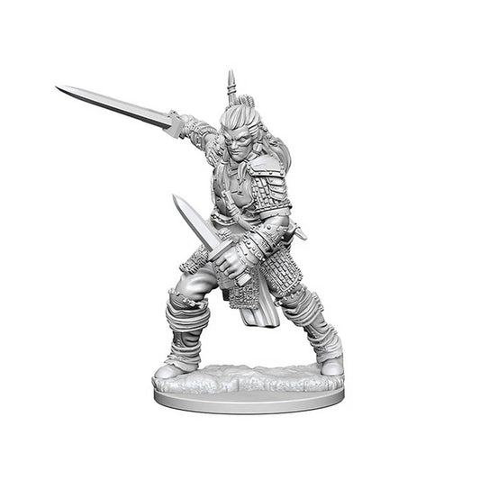 Pathfinder Deep Cuts Unpainted: Human Male Fighter 2 - Tabletop Gaming