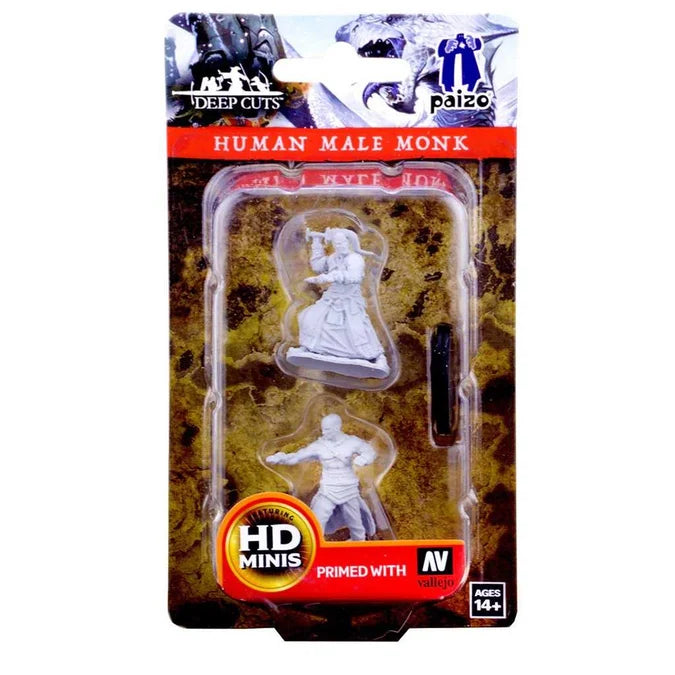 Pathfinder Deep Cuts Unpainted Miniatures: Human Male Monk - Tabletop Gaming