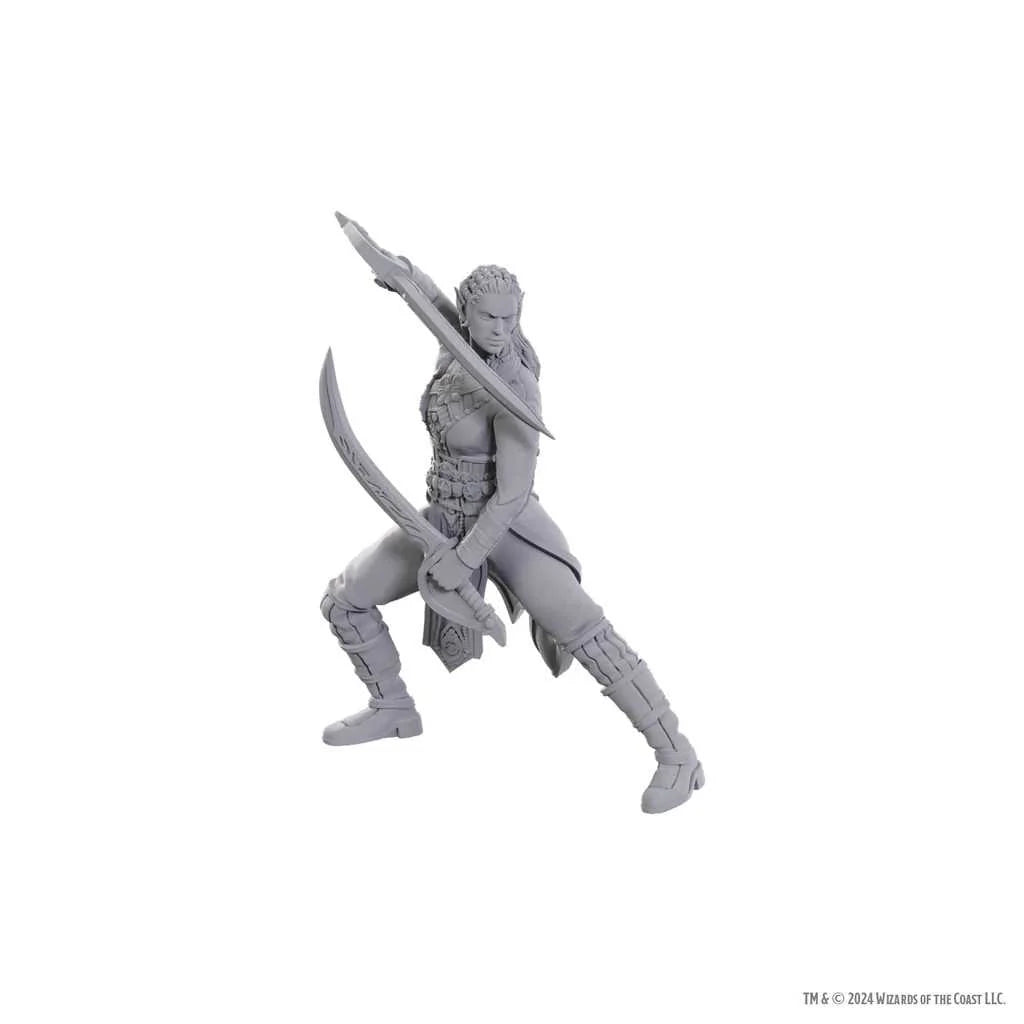 Special Edition Baldur's Gate 3 - Jaheira & Halsin: D&D Nolzur's Marvelous Unpainted Miniatures - Tabletop Gaming