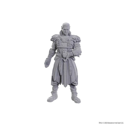 Special Edition Baldur's Gate 3 - Jaheira & Halsin: D&D Nolzur's Marvelous Unpainted Miniatures 2 - Tabletop Gaming