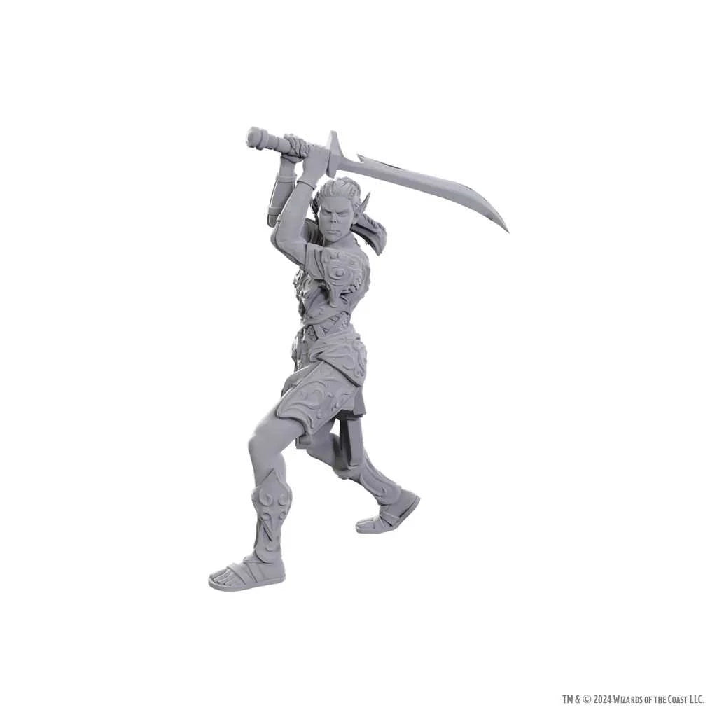 Special Edition Baldur's Gate 3 - Lae'zel & Shadowheart: D&D Nolzur's Marvelous Unpainted Miniatures - Tabletop Gaming